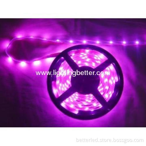 Hot sales high quality SMD3528 Led Strip for house decoration